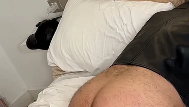 Bear Domination 2