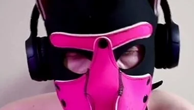 This Could Be Your Cock in Puppy's Mouth