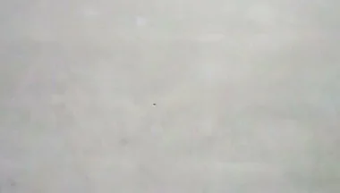 Slamming My Penis Until I'm Squirting Milk