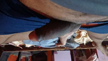 Dick Masturbation Han