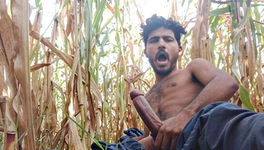 Very Big Huge Cock Asian Boy Full HD