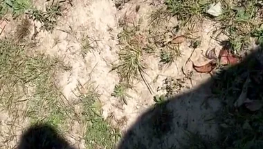 Shadow of Me Beating My Dick Outside Again