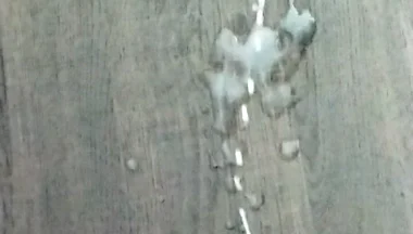 Slo Mo Cumshot