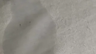 So Much for Fresh Sheets