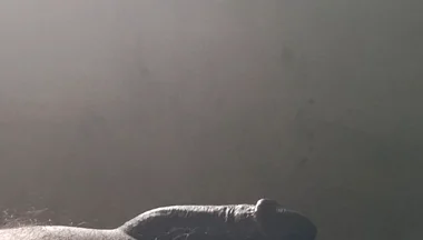 Real Amateur Solo Authentic Homemade Full HD