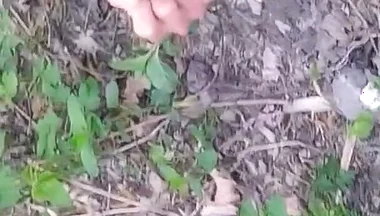 Cock Exposed Through the Pants Fly This Cute Gay Boy Humping Precuming Cumming Cleaning Sperm on His Dick Outdoors Is Jon Arteen