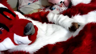 Jerking off and Showing Footpaws in Full-body Fursuit