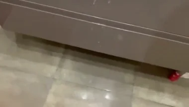 Some of My Best Cumshots
