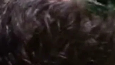 Exhib Sex Witrh Twinks