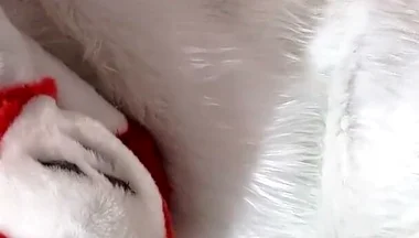 Furry in Full-body Fursuit Pisses on You, Then Cums Over Himself