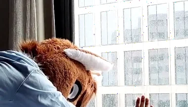 Bareback Femboy Furry Fursuit Fuck in Front of Window