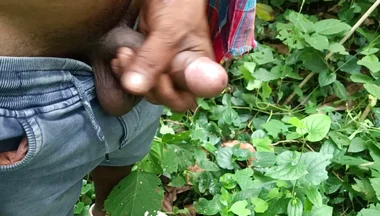 Young mature work in Deep forest.