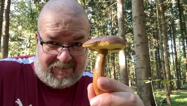 First in the Forest, Picking Mushrooms. and Then