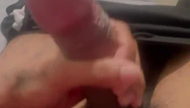 Beautiful Cock Is Stressed Out
