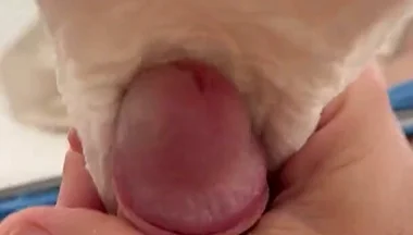 Getting Hard and to Cum with Stayfree Pads