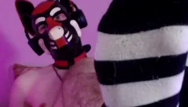 Bare Pup Paws Right in Your Face