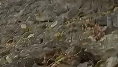 The Cute Guy Jon Arteen Pees Outdoors in This Compilation of His Hottest Peeing Moments