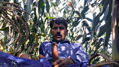 Solo Boy Huge Cock HD