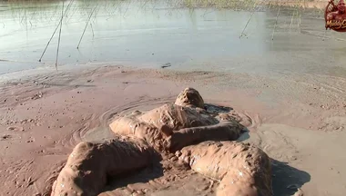 Splish Splosh - What a Mud-jump!