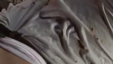 Cock Shot