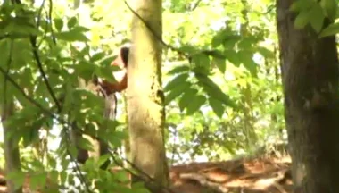 Sneaky Wank for Horny Twink