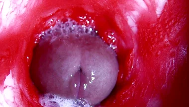 Hot Wet Sexy Hole and Sloppy Big Cock