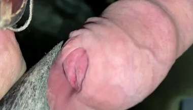 Close up Uncut Handsfree Cumshot After Hose Suction