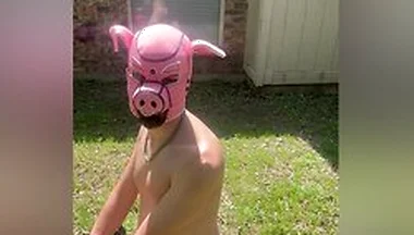 Pig Blown Up By Helium - Belly Inflation