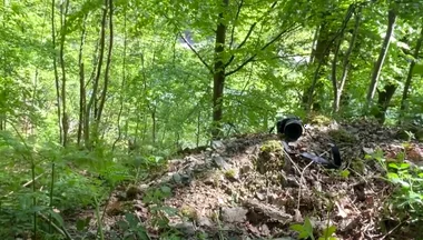 Connecting with Nature