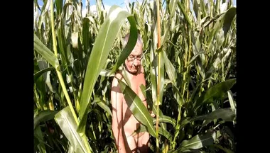 Maize Walk