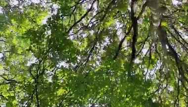 Slutboyben Cam4 Sexy Cruising Chick Iii Live Outdoor Exposure