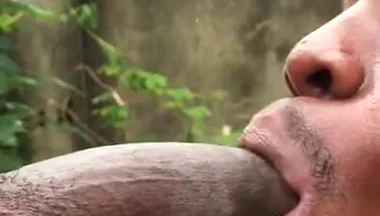 Sweet Cock Sucker