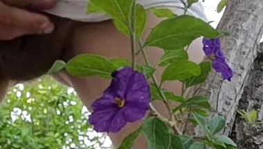Watch Me Jerking off Outdoors While Hiding Behind a Tree